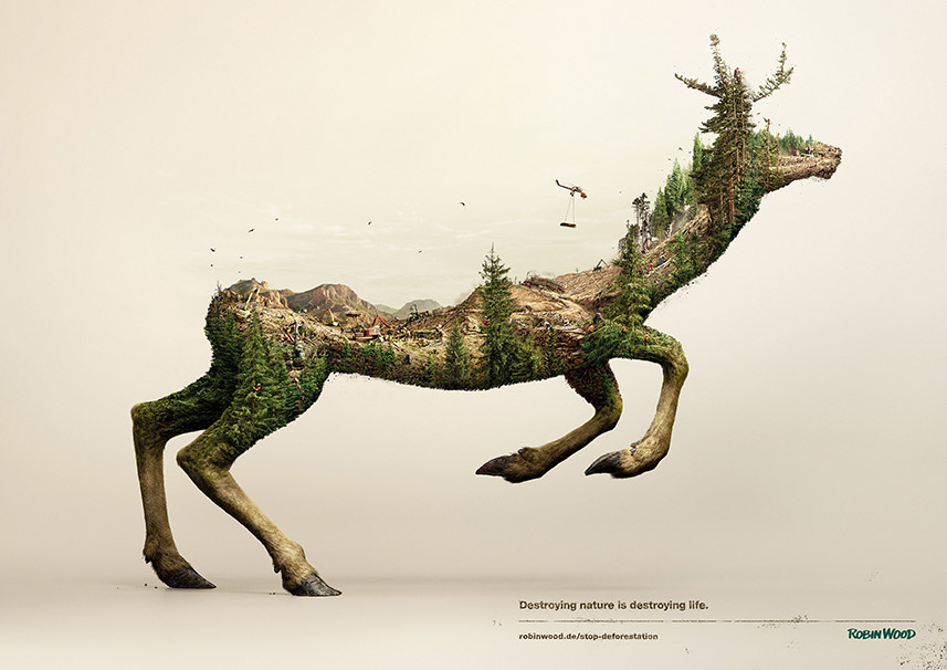 Disappearing Animals