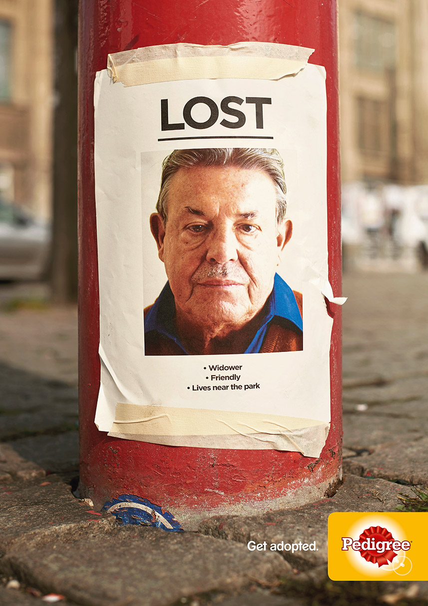 The Lost Campaign