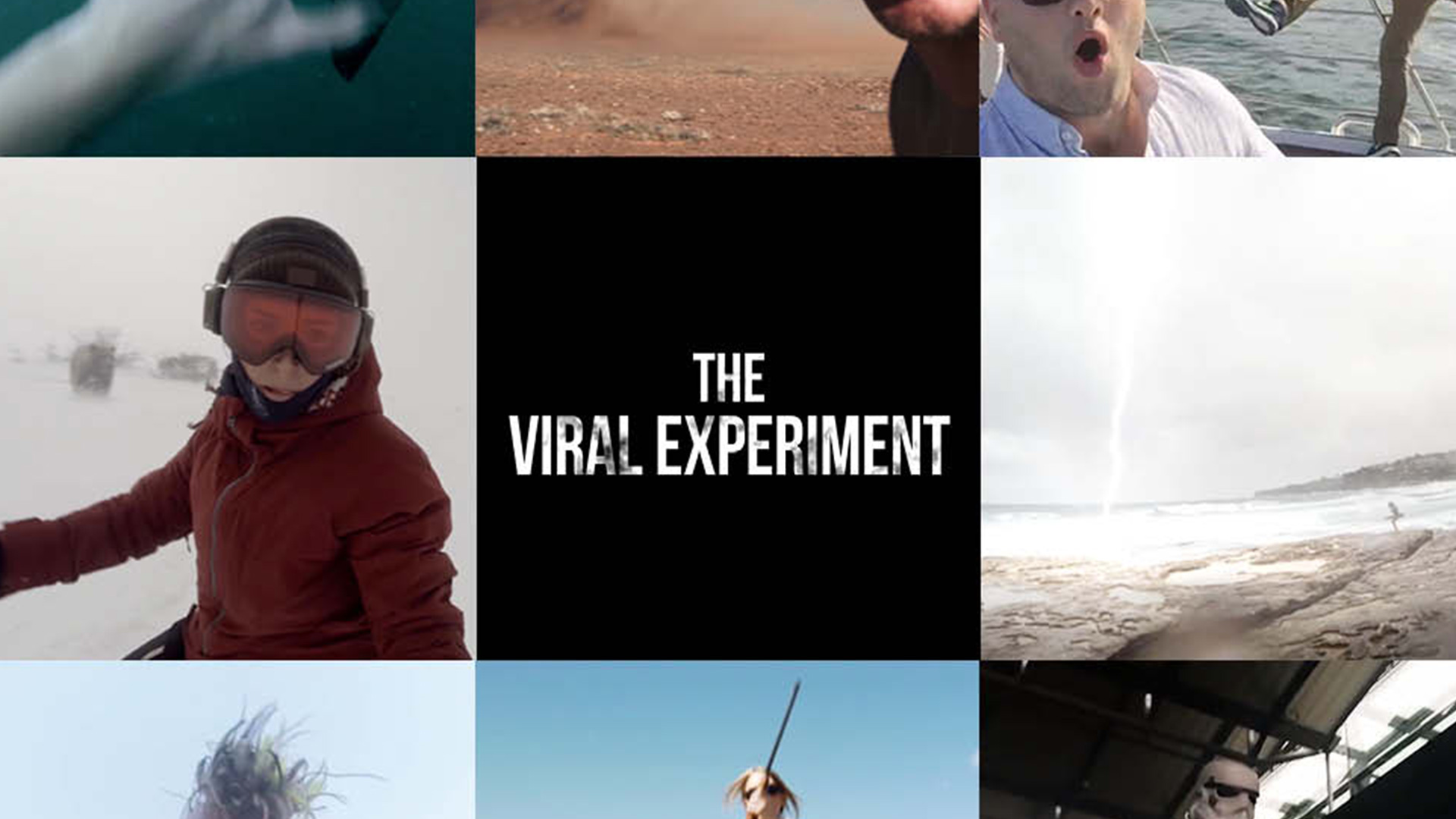 The Viral Experiment