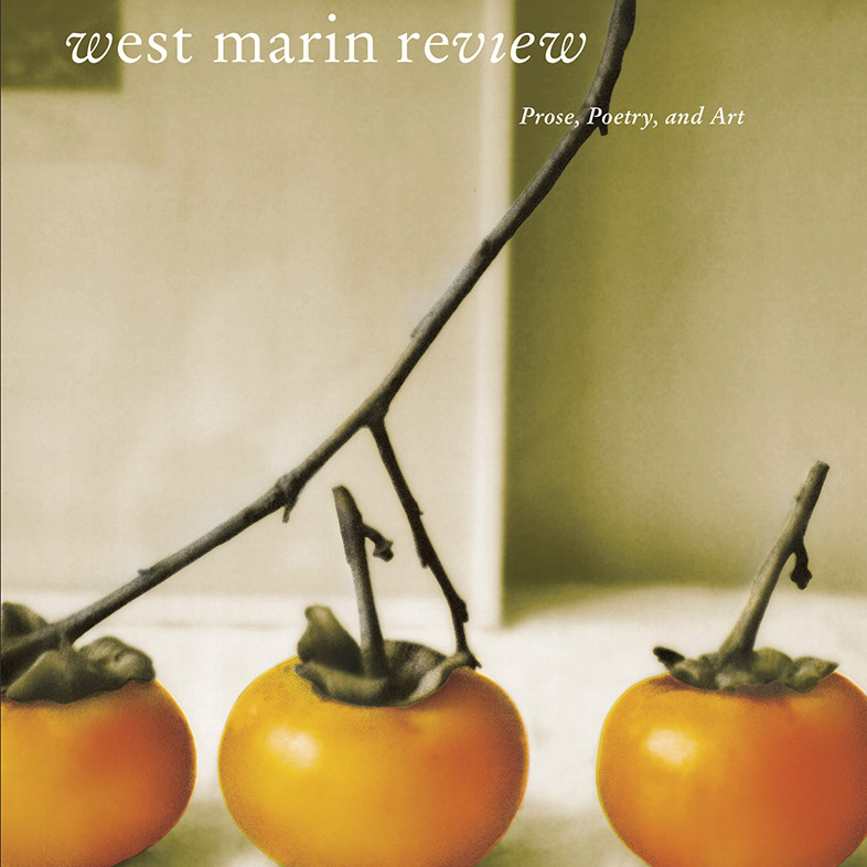 West Marin Review, cover series