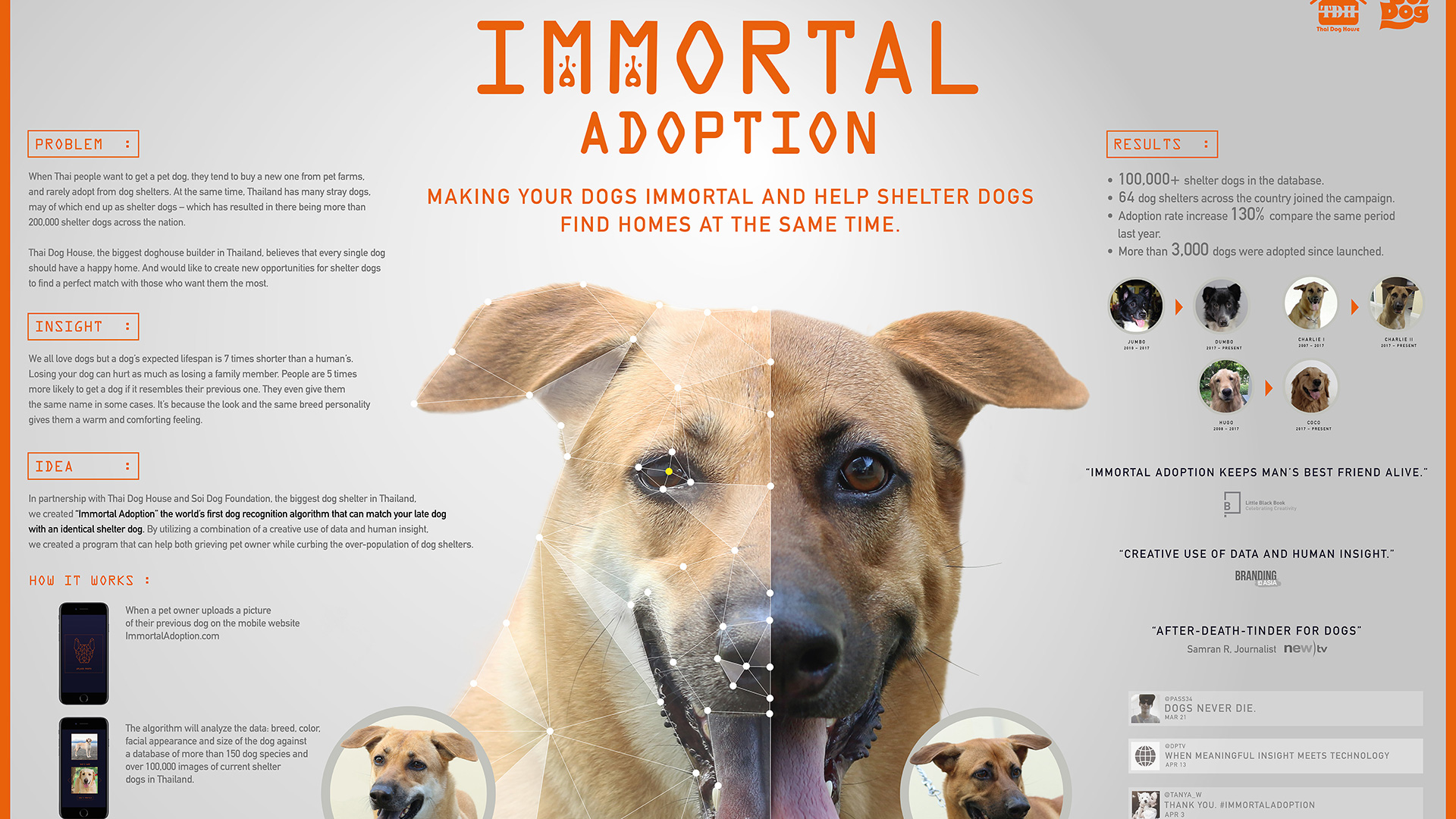 Immortal Adoption