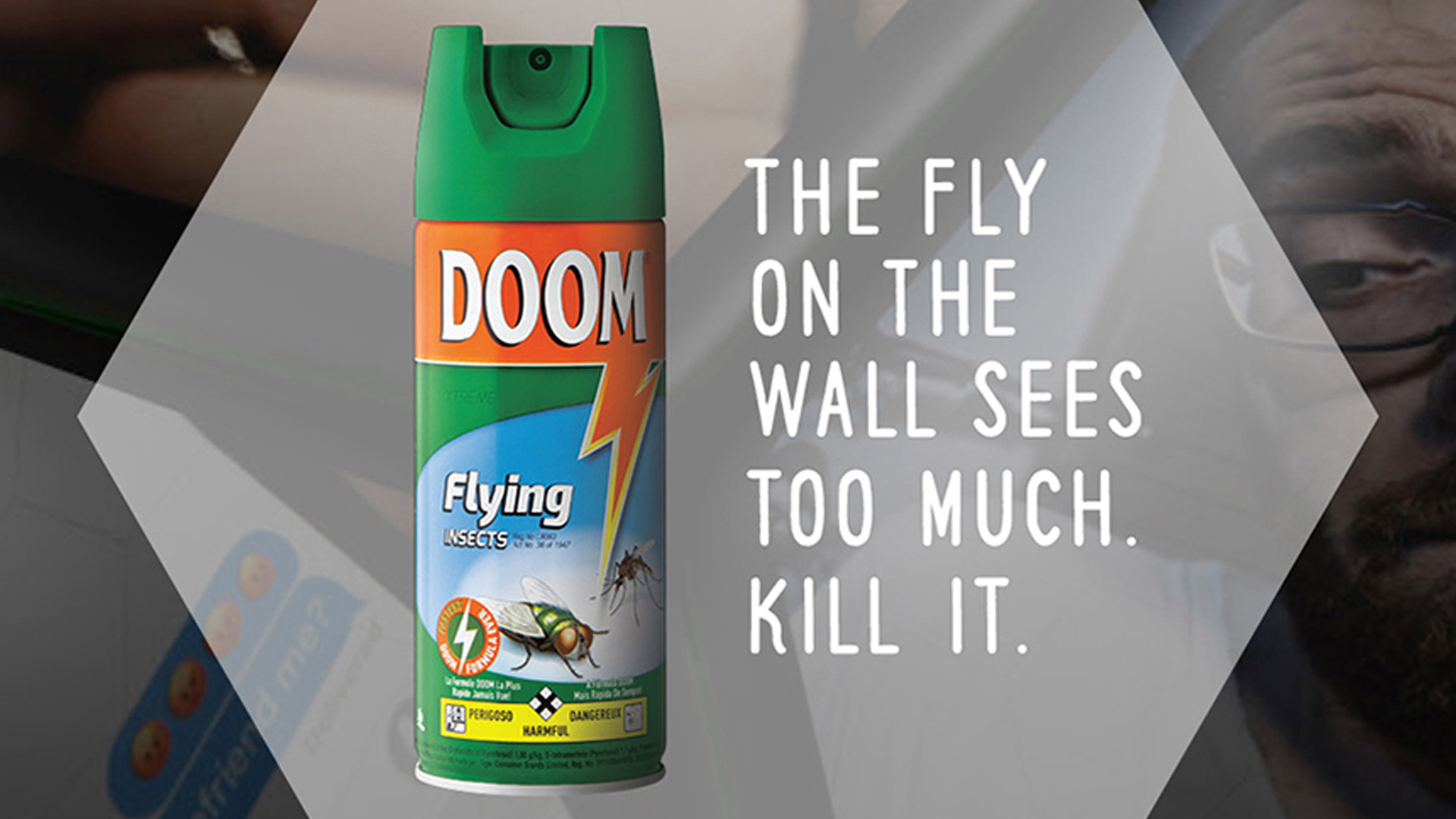 Fly on the Bedroom Wall