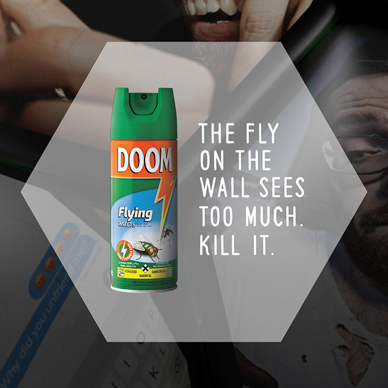 Fly on the Bathroom Wall