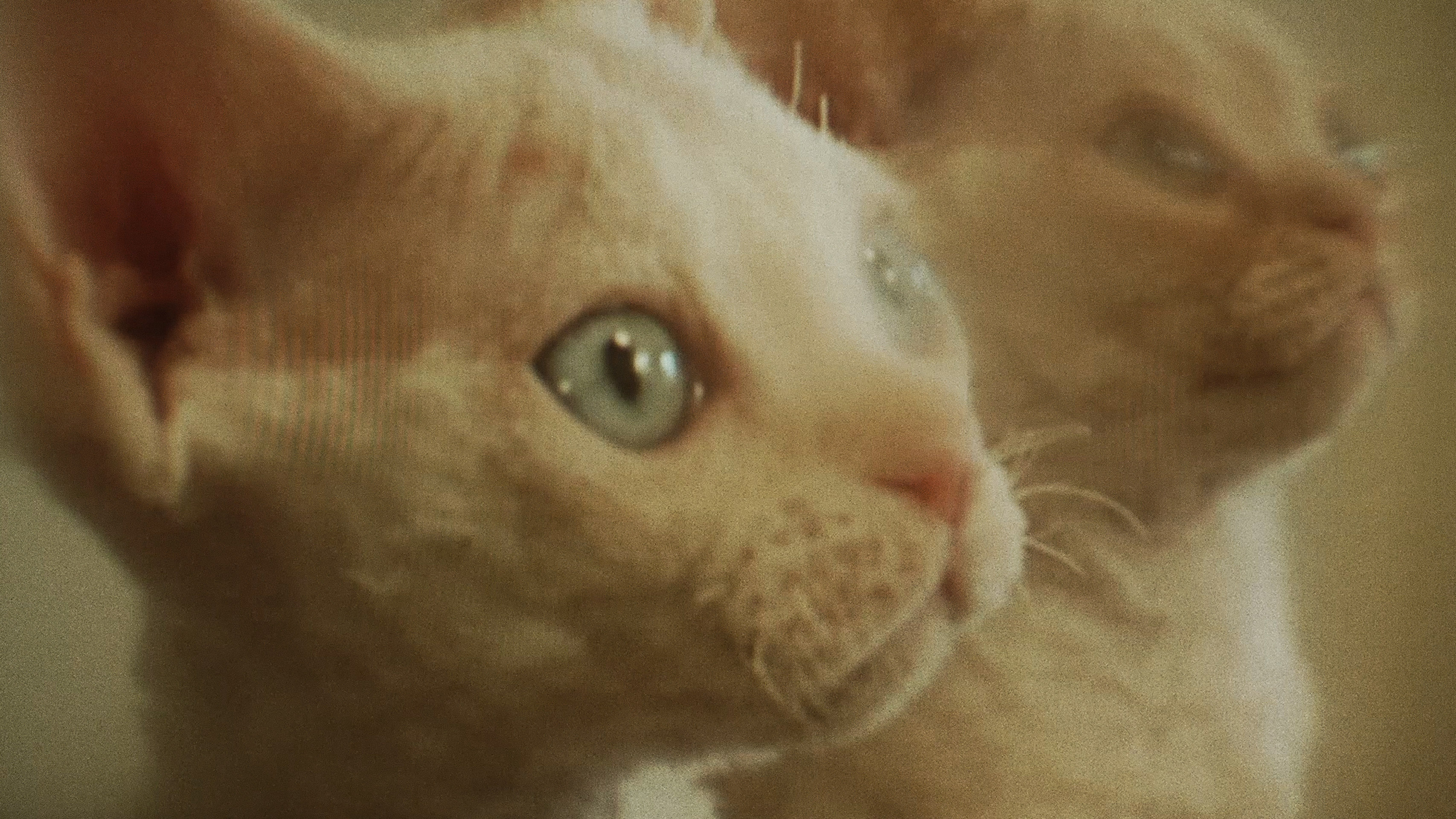 COMA – A GettyImages Original Series