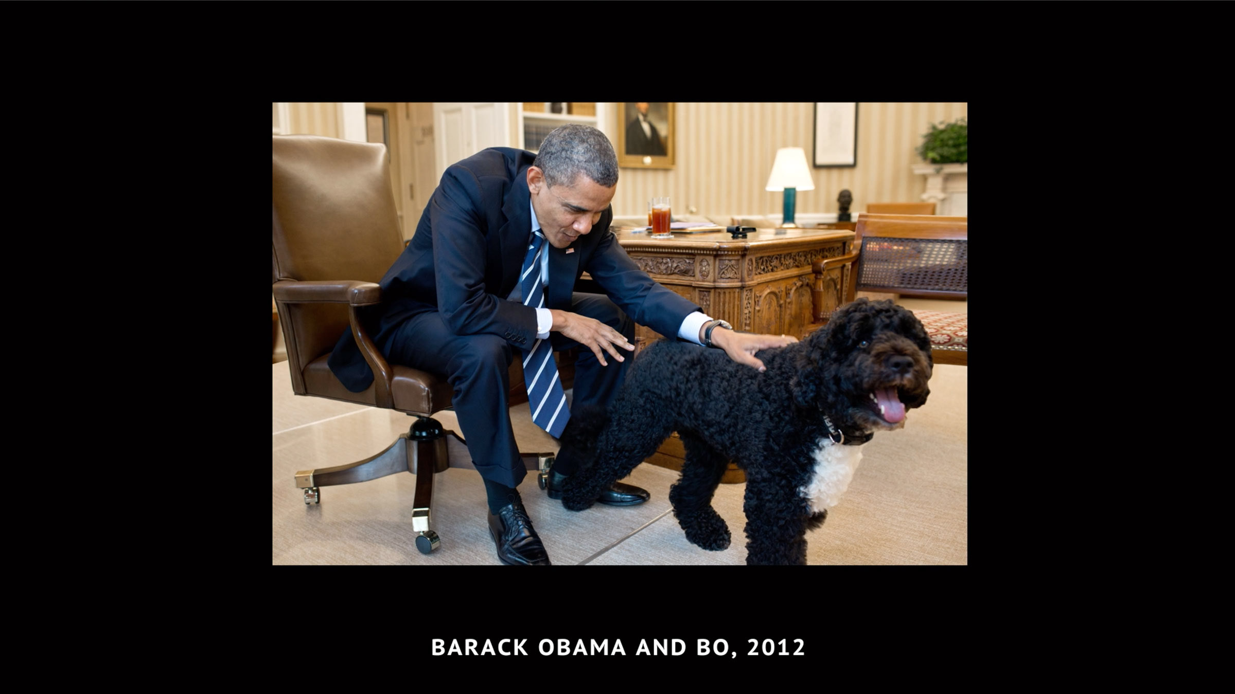 President's Pets. Animals make us human. Adopt.
