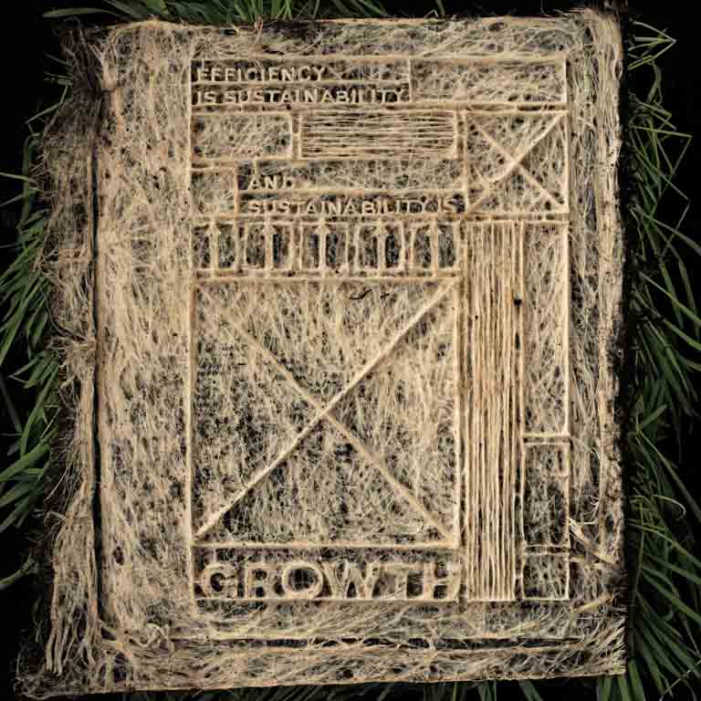 The Book That Grew
