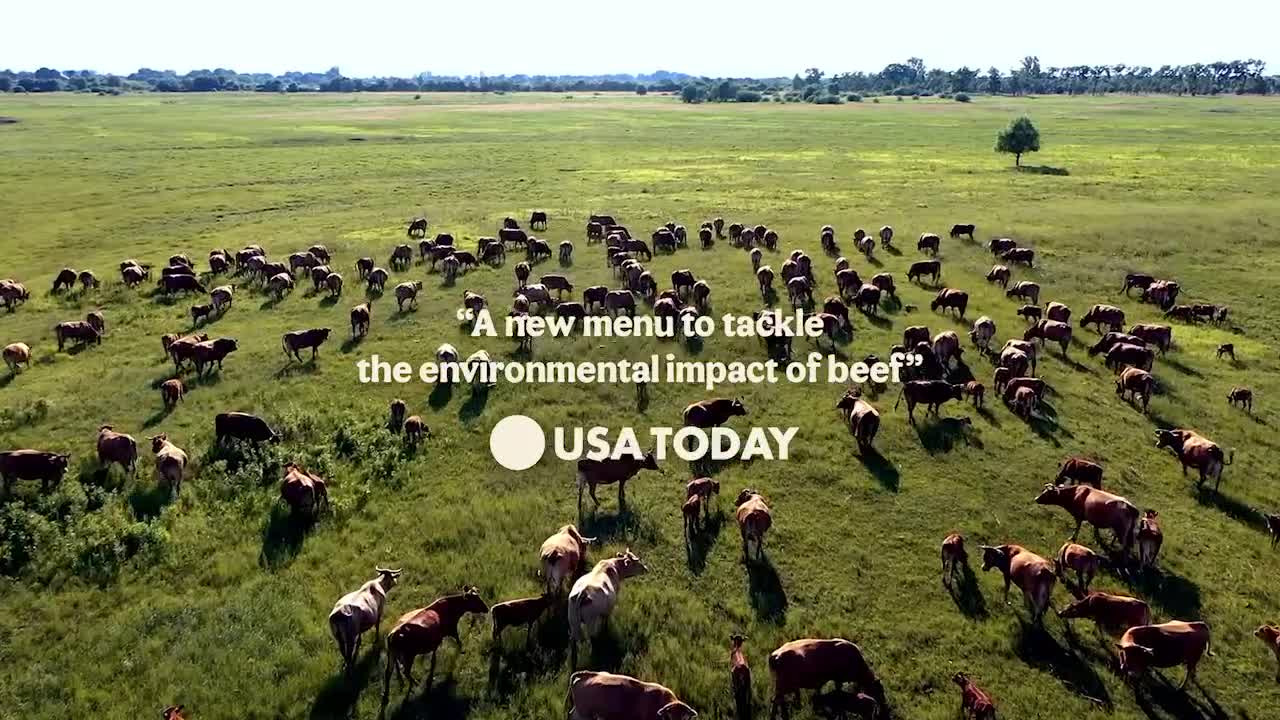 Cows' Menu