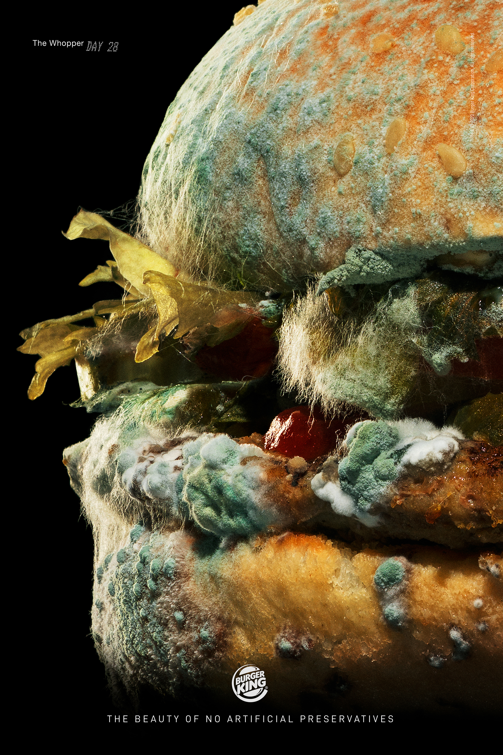 Burger King | BK Moldy Whopper | The One Club