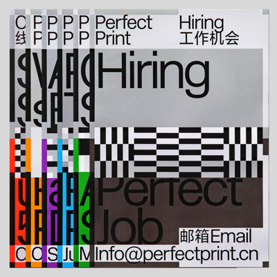 Perfect Print Brand Identity