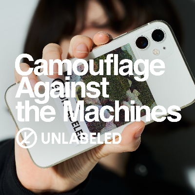 Camouflage Against the Machines