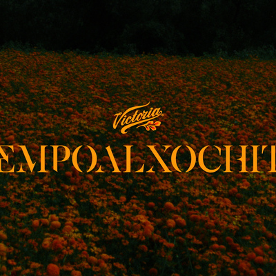 Cempasúchil - The Taste Of Reunion