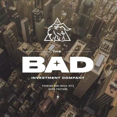 Bad Investment Co Branding and Website
