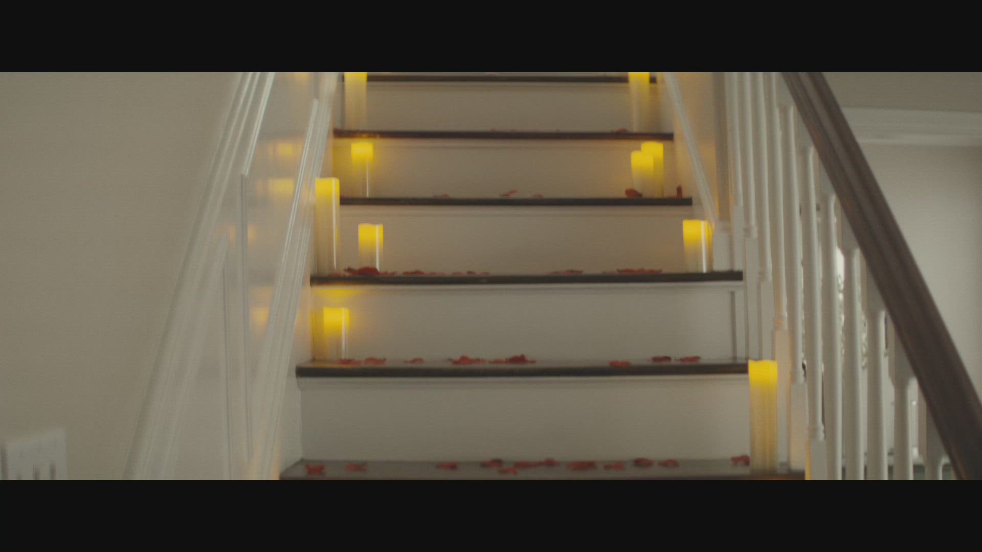 Ladder Life Insurance Crocodile The One Club