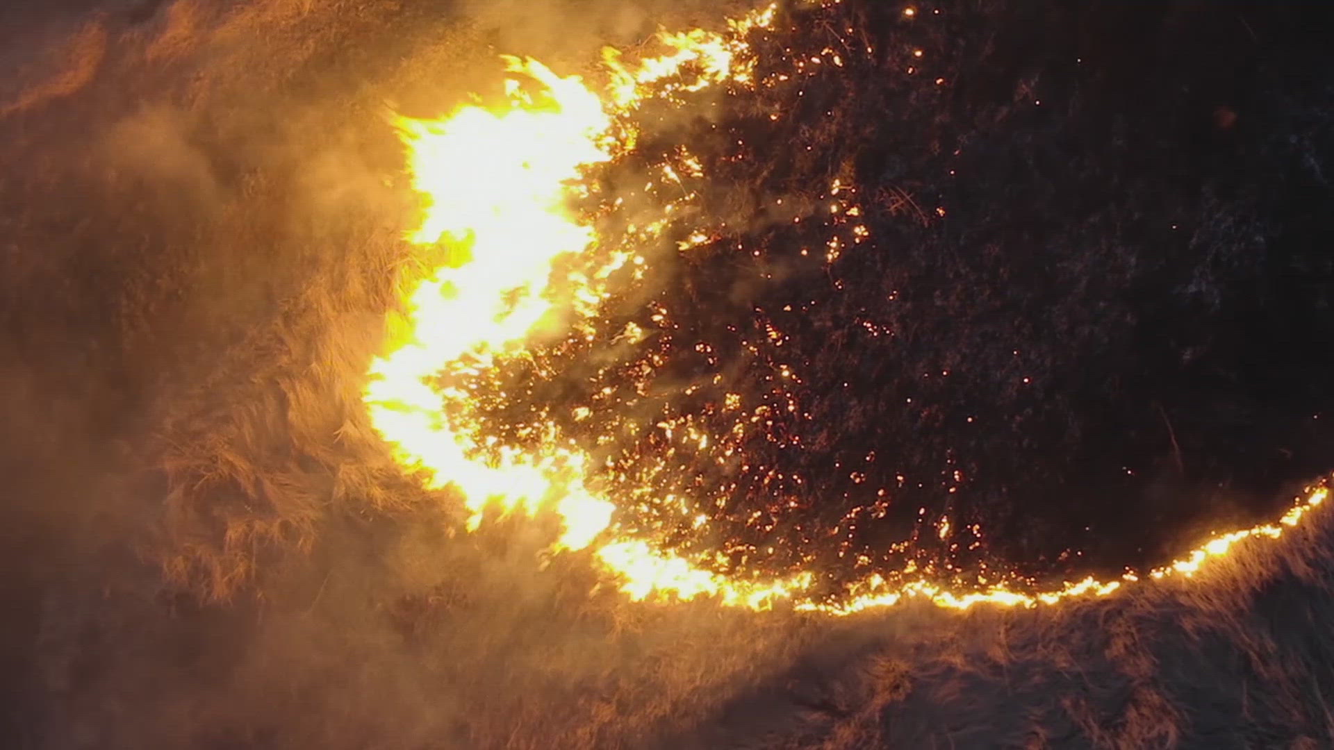 APIB | The Refugee Jatoba | The One Club