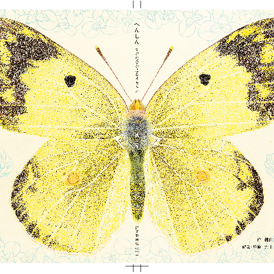 Henshin - Transformation of the Caterpillar