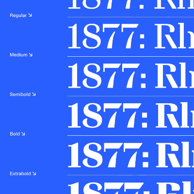 RISD Serif and RISD Sans