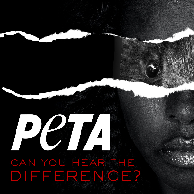 Peta - Hear The Difference