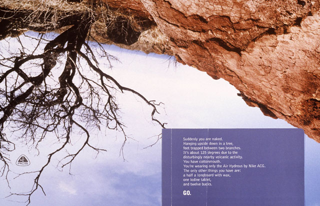 Forest, Upside Down, Sky