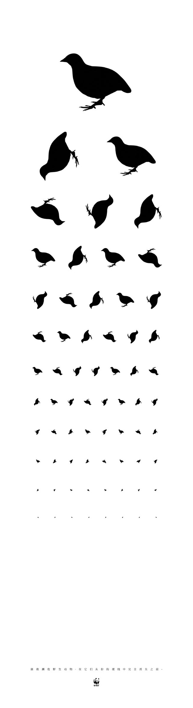 Eye Chart