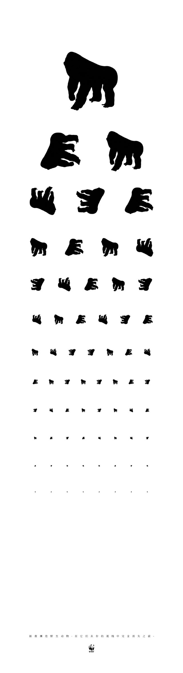 Eye Chart