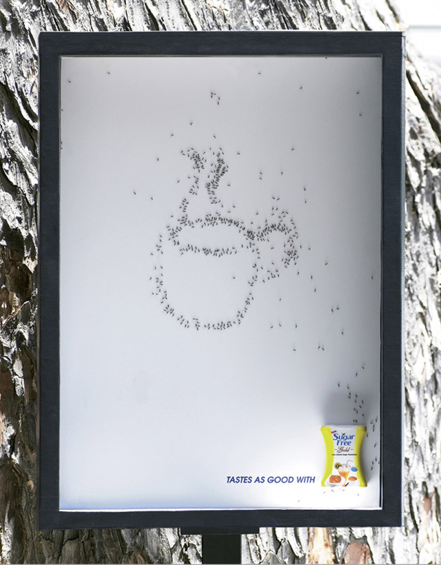 Sugar Free Ants Campaign