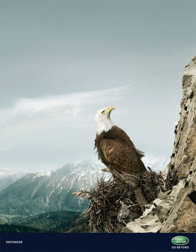Animals