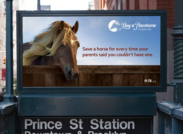 Save A Racehorse