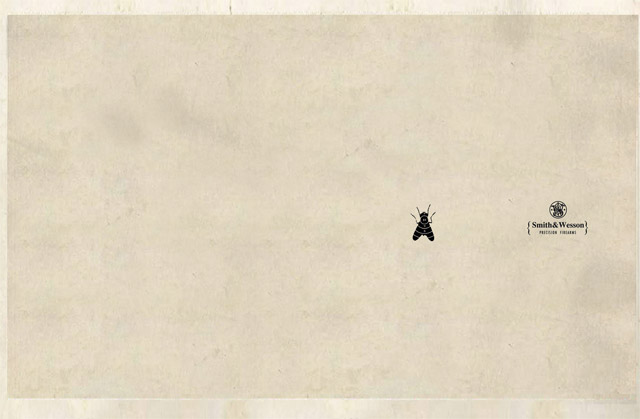 Fly