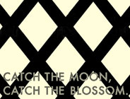 CATCH THE MOON,CATCH THE BLOSSOM.