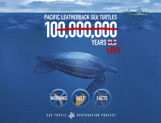 Save the Leatherback