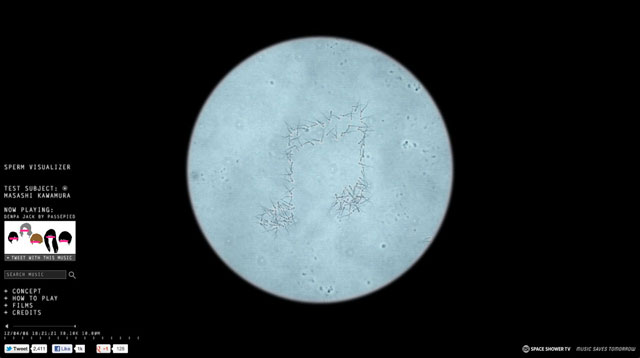 Sperm Visualizer
